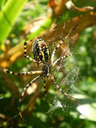 Stratford Ecological Center